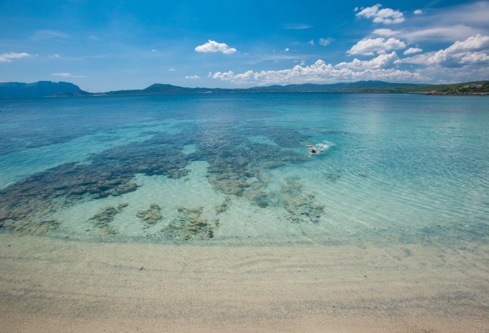 The Pelican Beach Resort & SPA img7